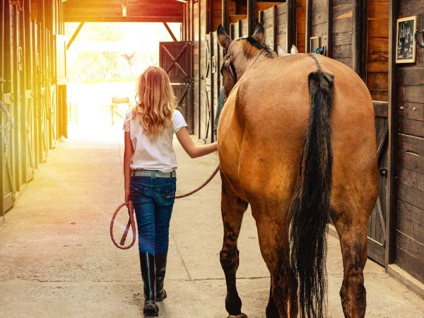 Naturalne metody układania koni i ich wpływ na zdrowie i zachowanie