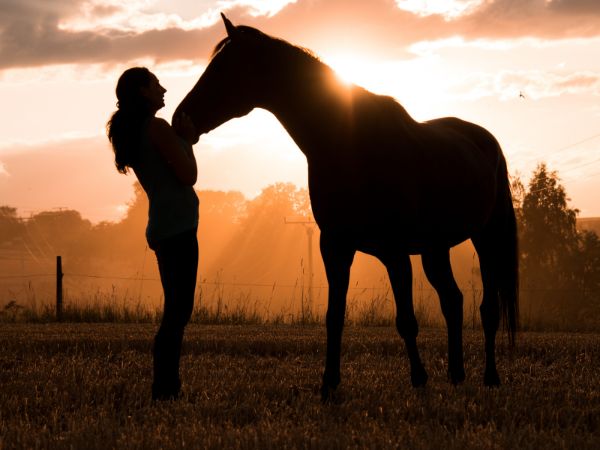 Kluczowe elementy zbilansowanej diety i właściwego żywienia dla zdrowia i kondycji koni